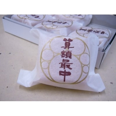 算額最中　15個入