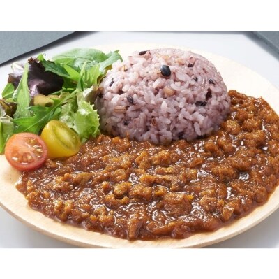 大豆ミート　キーマーカレー