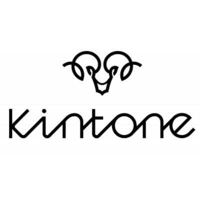 KINTONE Model One モデルワン(ブラック) | お礼品詳細 | ふるさと納税 