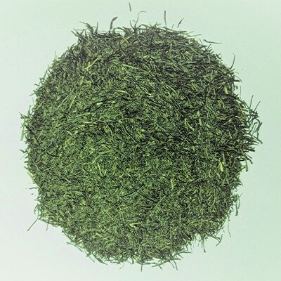 深蒸し茶「悠久」10本