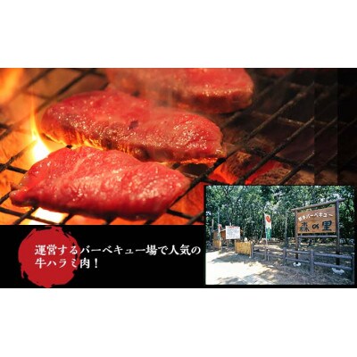 ～門外不出秘伝たれ～　壺漬け牛ハラミ約1.7kg(350g×5P)