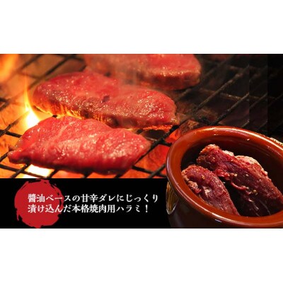 ～門外不出秘伝たれ～　壺漬け牛ハラミ約1.7kg(350g×5P)