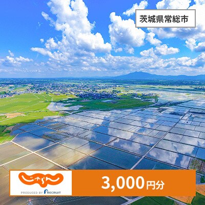 【じゃらんふるさと納税クーポン】 茨城県常総市でつかえる3,000円 クーポン