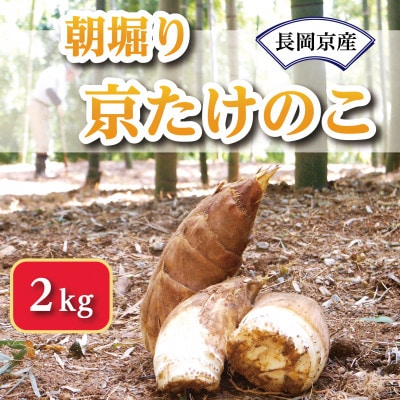【京の伝統野菜】朝掘り京たけのこ　2kg