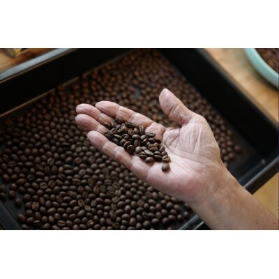 「NAKANOTEI COFFEE 蔵ROASTARY」のカフェオレベース(微糖)600ml×2本