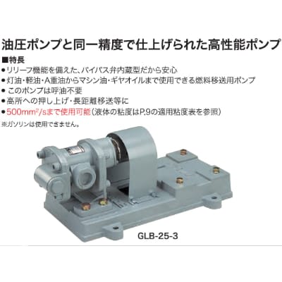 オイル用ギヤーポンプ　GLB-25-3　GLポンプ　口径25ミリ　