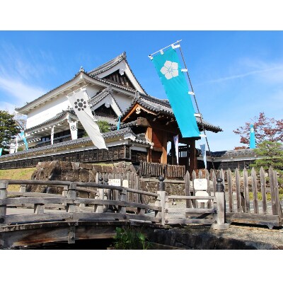 明智光秀”最期の城” 勝龍寺城の御城印3種&細川家・明智家の家紋入りペア竹箸セット