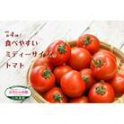【長岡京市特産】ミディトマト(通称:ガラシャの瞳) 約2.4kg
