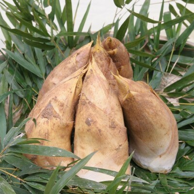 <長岡京産>朝堀り竹の子 4kg箱