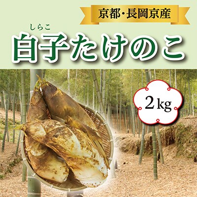 長岡京市産 京 白子たけのこ 2kg