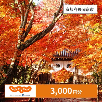 【じゃらんふるさと納税クーポン】 京都府長岡京市でつかえる3,000円 クーポン