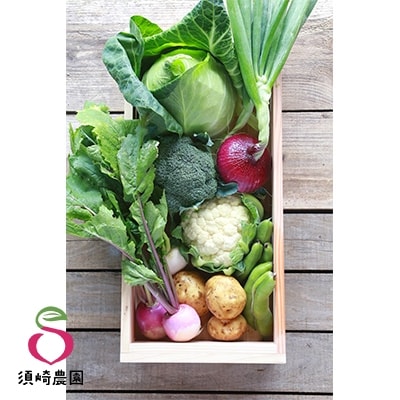 2022年1月発送【須崎農園】こだわり栽培旬野菜おためしセット 今だけ人参ジュース1本付【数量限定】