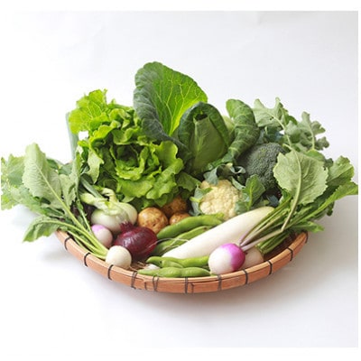 2022年1月発送【須崎農園】こだわり栽培旬野菜おためしセット 今だけ人参ジュース1本付【数量限定】