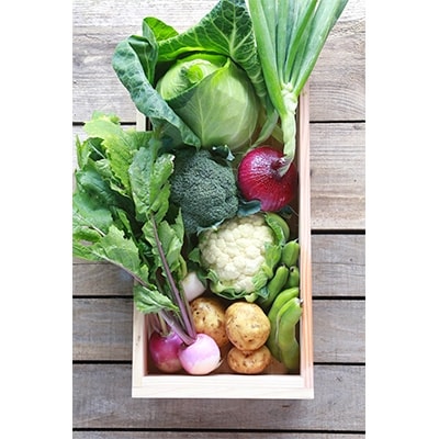年9月発送開始 定期便 須崎農園 有機栽培旬野菜セット 全4回 お礼品詳細 ふるさと納税なら さとふる 年9月発送開始 定期便 須崎農園 有機栽培旬野菜セット 全4回 お礼品詳細 ふるさと納税なら さとふる