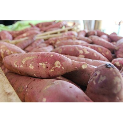 紅はるか食べ比べセット 平干しいも・丸干しいも(各1kg 2kg箱)