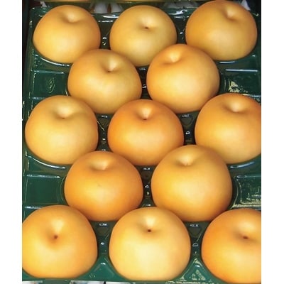 有袋栽培で樹上で完熟させた梨(幸水)5kg【数量限定】