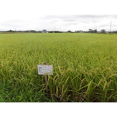 【令和4年産】特別栽培米東海村産コシヒカリ15kg(5kg×3)と米粉1kg(500g×2)のセット