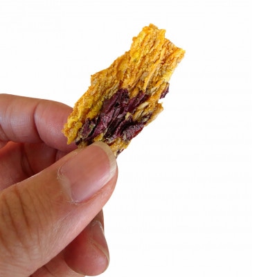 【国産・無添加　さつまいも100%の犬用おやつ】テルズワン　100g×5パック