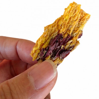 【国産・無添加　さつまいも100%の犬用おやつ】テルズワン　100g×10パック