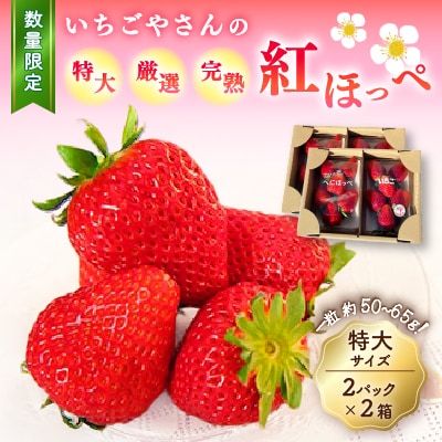 『いちごやさん』の完熟紅ほっぺ厳選 特大サイズ2P×2箱【数量限定】