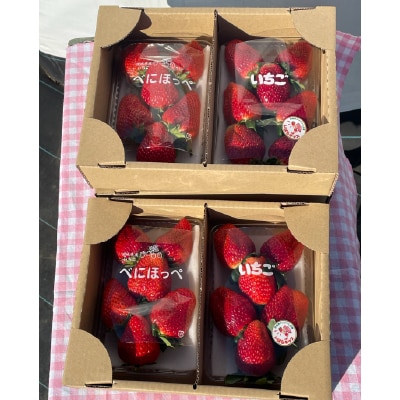『いちごやさん』の完熟紅ほっぺ厳選 特大サイズ2P×2箱【数量限定】