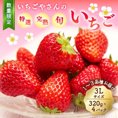 いちごやさんの特選完熟旬いちご3Lサイズ320g×4パック【数量限定】