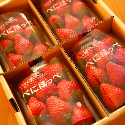 いちごやさんの特選完熟旬いちご3Lサイズ320g×4パック【数量限定】