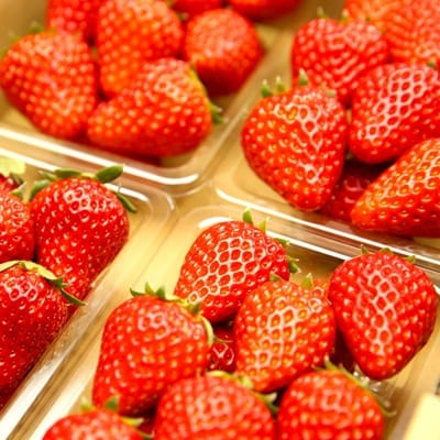いちごやさんの特選完熟旬いちご3Lサイズ320g×4パック【数量限定】