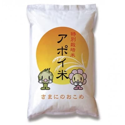 【新米】北海道様似町産　アポイ米(ななつぼし) 精米 10kg