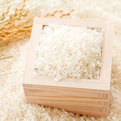 【新米】北海道様似町産　アポイ米(ななつぼし) 精米 10kg