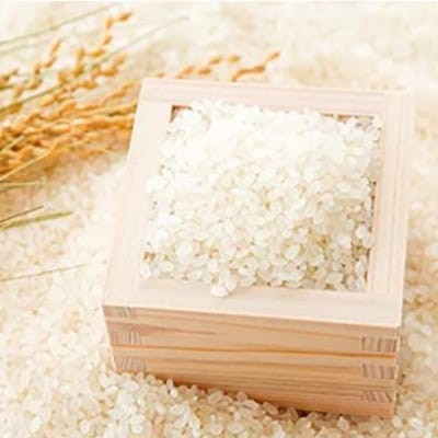 【新米】北海道様似町産　アポイ米(ななつぼし) 精米 25kg