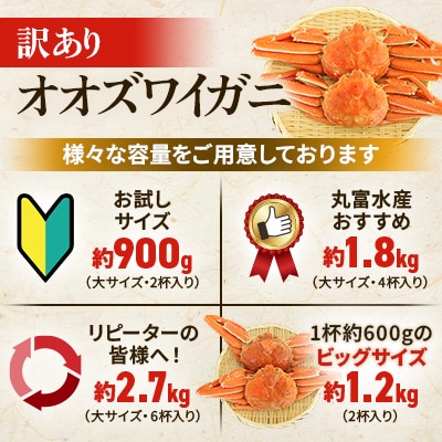 【訳あり】オオズワイガニ ボイル 大サイズ  2杯合計約900g
