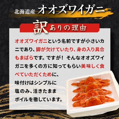 【訳あり】オオズワイガニ ボイル 大サイズ  6杯 合計約2.7kg