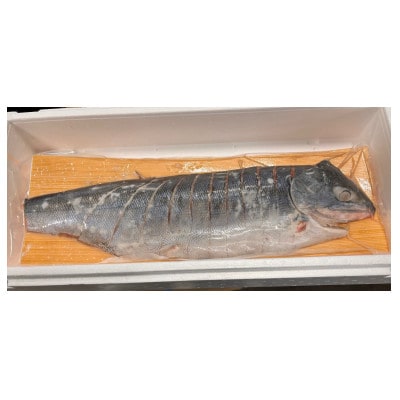 【丸富水産】新巻鮭(半身・切身)　1.1kg