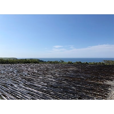 【2025年6月上旬発送】特選日高昆布×2袋セット