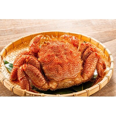 【特大毛蟹】ミソと身がぎっしり約800g×1尾