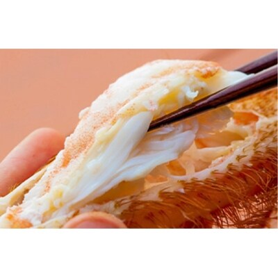 【特大毛蟹】ミソと身がぎっしり約800g×1尾
