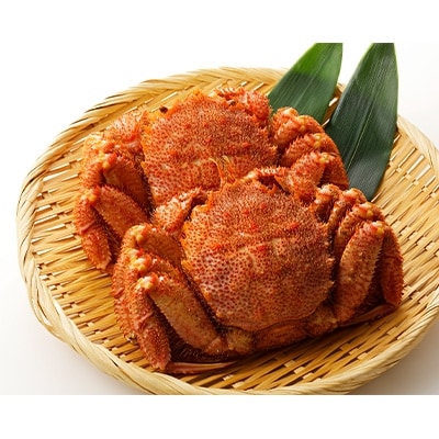 【ふるさと納税限定】ミソと身がぎっしり詰まった〈毛がに(大)〉約500g×4尾