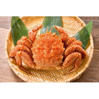 【ミソと身がぎっしり詰まった】〈毛がに(大)〉約500g×6尾
