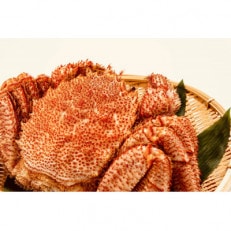 【特大毛蟹】ミソと身がぎっしり 約800g×2尾