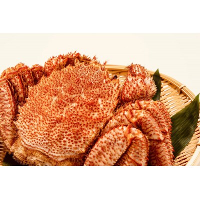 【特大毛蟹】ミソと身がぎっしり 約800g×2尾