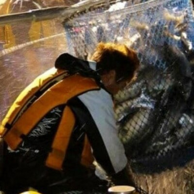 【2023年発送・先行受付】秋鮭(メス)まるごと 2尾