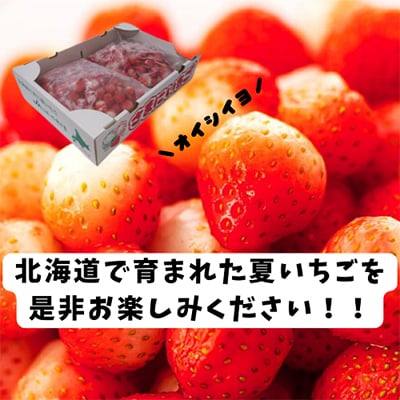 【先行受付】【訳あり】北海道産 冷凍いちご「すずあかね」「すずりっか」(真空パック1.0kg×2袋)