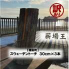 【訳あり】【様似町産】スウェーデントーチ(約30cm×3本)