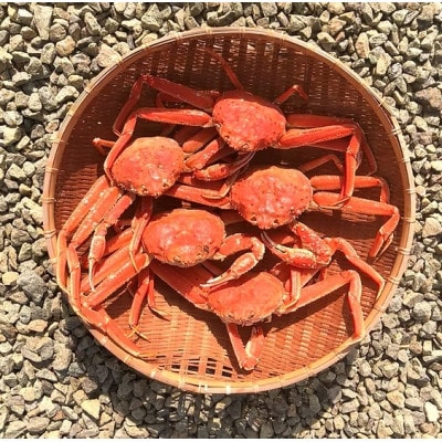 【訳あり】「蒸し」オオズワイガニ　5杯  約1kg~1.3kg