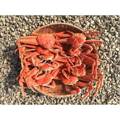 【訳あり】「蒸し」オオズワイガニ20杯　約4kg～5.2kg
