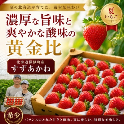 夏いちご王国　様似町産　すずあかね　約300g×2パック