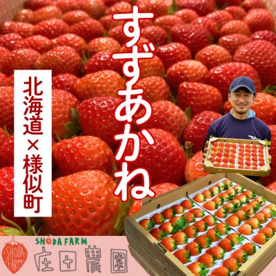 夏いちご王国　様似町産　すずあかね　約300g×2パック