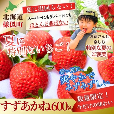 夏いちご王国　様似町産　すずあかね　約300g×2パック