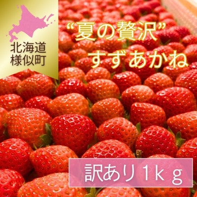 【訳あり】様似町産　すずあかね　約1kg